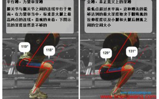 全面剖析深蹲的本质 全面剖析深蹲的本质