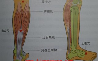 小腿抽筋的治疗技巧