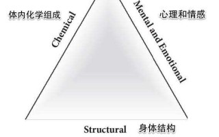 何为耐力 何为耐力