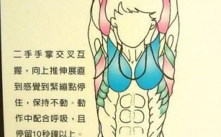 身体拉伸动作图解 身体拉伸动作图解