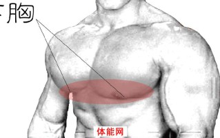 下胸部的崛起--完美下胸7大策略 下胸部的崛起--完美下胸7大策略