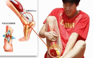 跟腱与弹跳力的关系 跟腱与弹跳力的关系