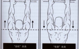 囚徒健身:用失传的技艺练就强大的生存实力 第七章 六艺之引体向上 囚徒健身:用失传的技艺练就强大的生存实力 第七章 六艺之引体向上