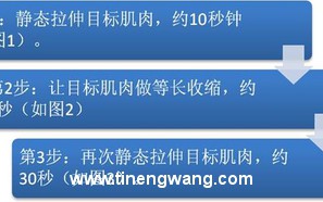 实用PNF伸展技巧 实用PNF伸展技巧
