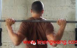 低杠位深蹲技术动作——low bar squat 低杠位深蹲技术动作——low bar squat