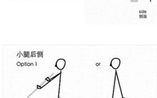 腿部拉伸动作 腿部拉伸动作