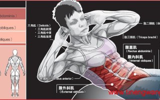 核心肌群 核心肌群