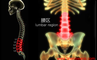 如何预防腰痛 如何预防腰痛