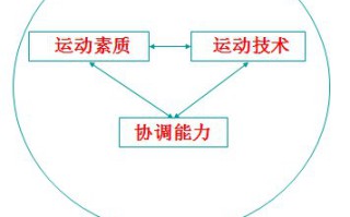 当代优秀运动员力量训练新理念 当代优秀运动员力量训练新理念