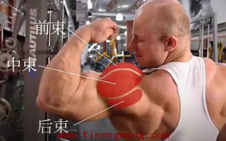 哑铃肩上推举动作详解 哑铃肩上推举动作详解