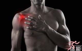 想卧推、肩推的更重吗?先治好那恼人的肩关节痛吧 想卧推、肩推的更重吗?先治好那恼人的肩关节痛吧